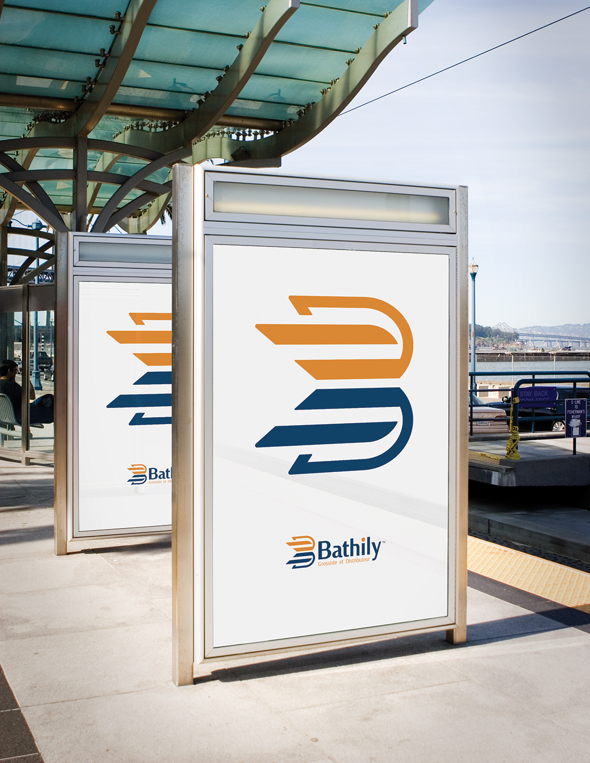 Bathily Logo Design on Posters